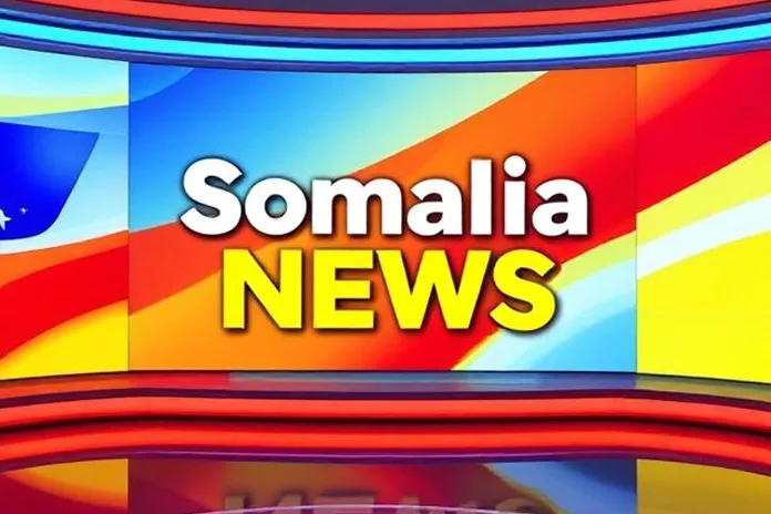 Somalia Grapples with Resurgence of Piracy Along Northeastern Coast