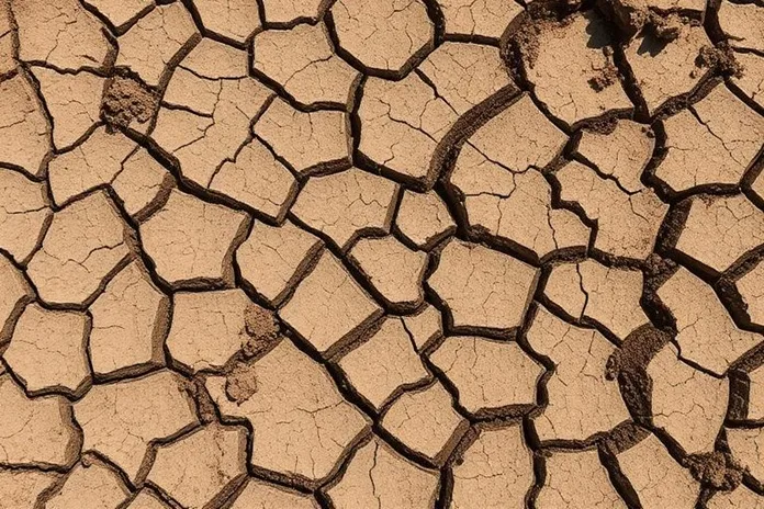 Slight Drought Relief in Parts of Colorado, But Baca County Remains in Crisis