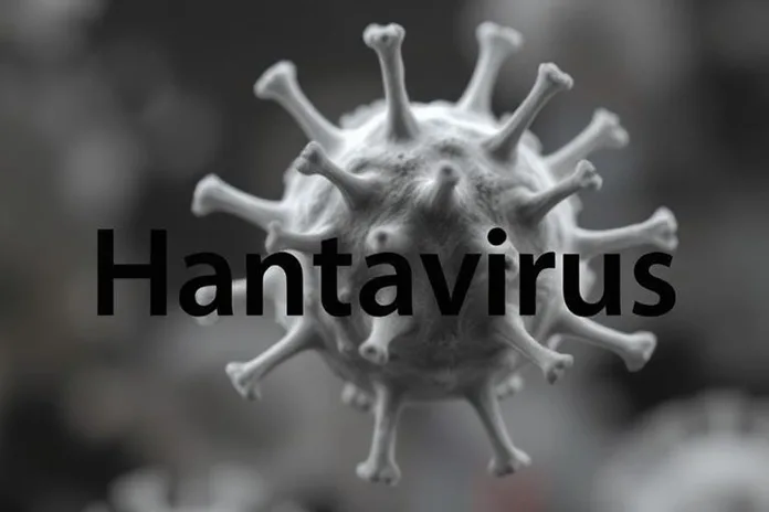 New Hantavirus Cases Emerge Following Cruise Ship Outbreak as Global Health Officials Implement Strict Quarantine Measures
